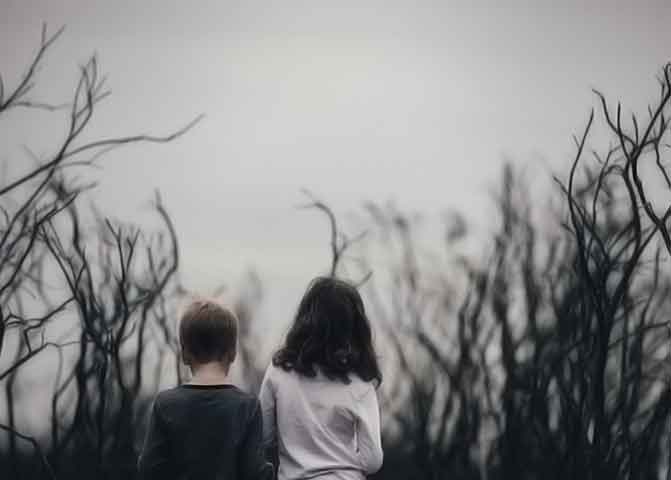 抖音卡密直播的器测压文章